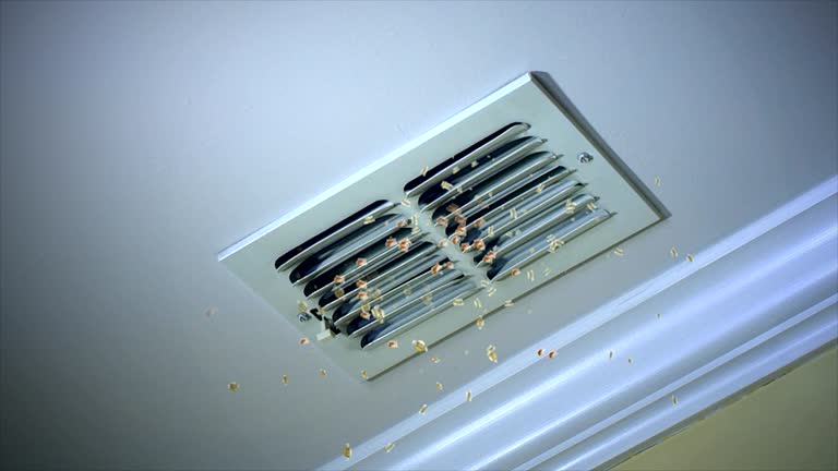 Best Commercial Air Duct Cleaning  in Kings Park, VA